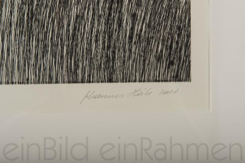 Feine Striche durch Kaltnadelradierung und Aquatina auf Büttenpapier von dem bekannten Künstler Johannes Haider in der KunstGallerie einBild einRahmen